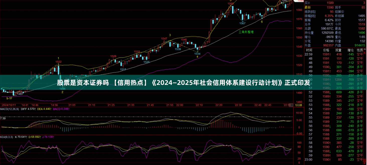 股票是资本证券吗 【信用热点】《2024—2025年社会信用体系建设行动计划》正式印发