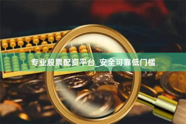 专业股票配资平台_安全可靠低门槛