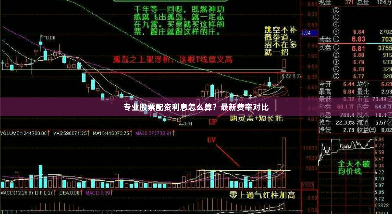 专业股票配资利息怎么算？最新费率对比