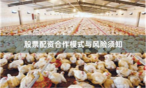 股票配资合作模式与风险须知